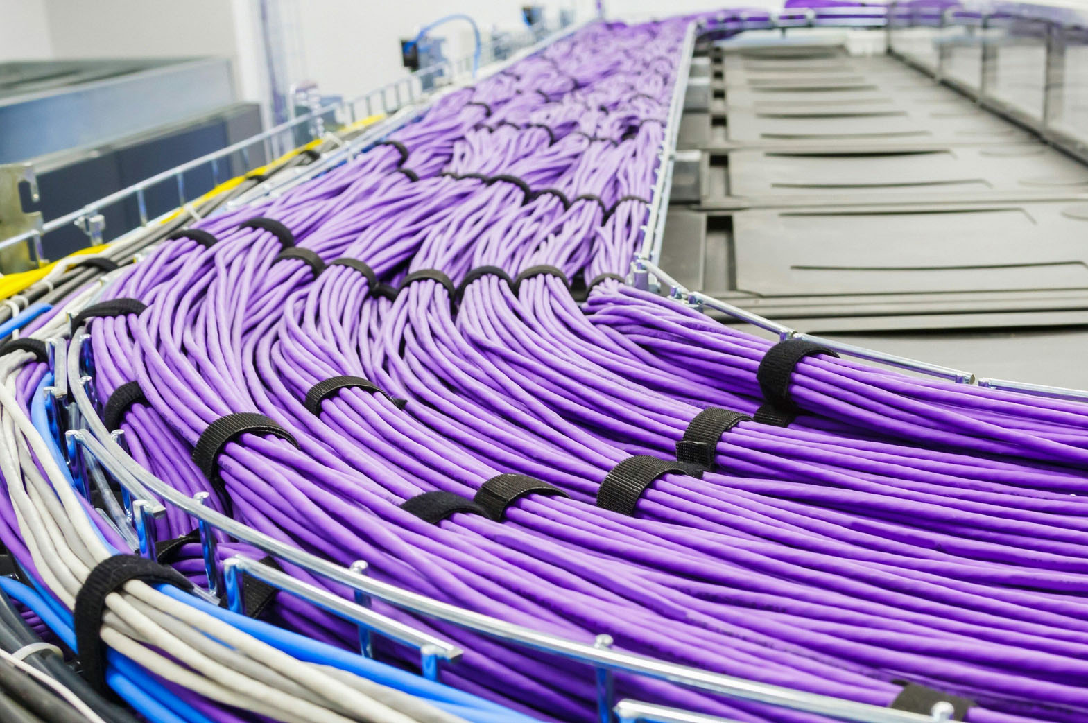 Bundled and dressed structured cabling on cable tray